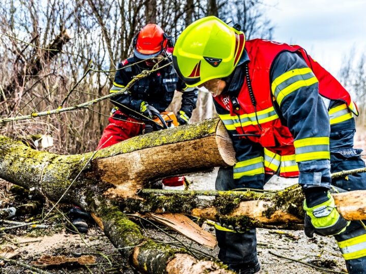 Walka ze skutkami burzy: strażacy wciąż usuwają powalone drzewa na Sępolnie