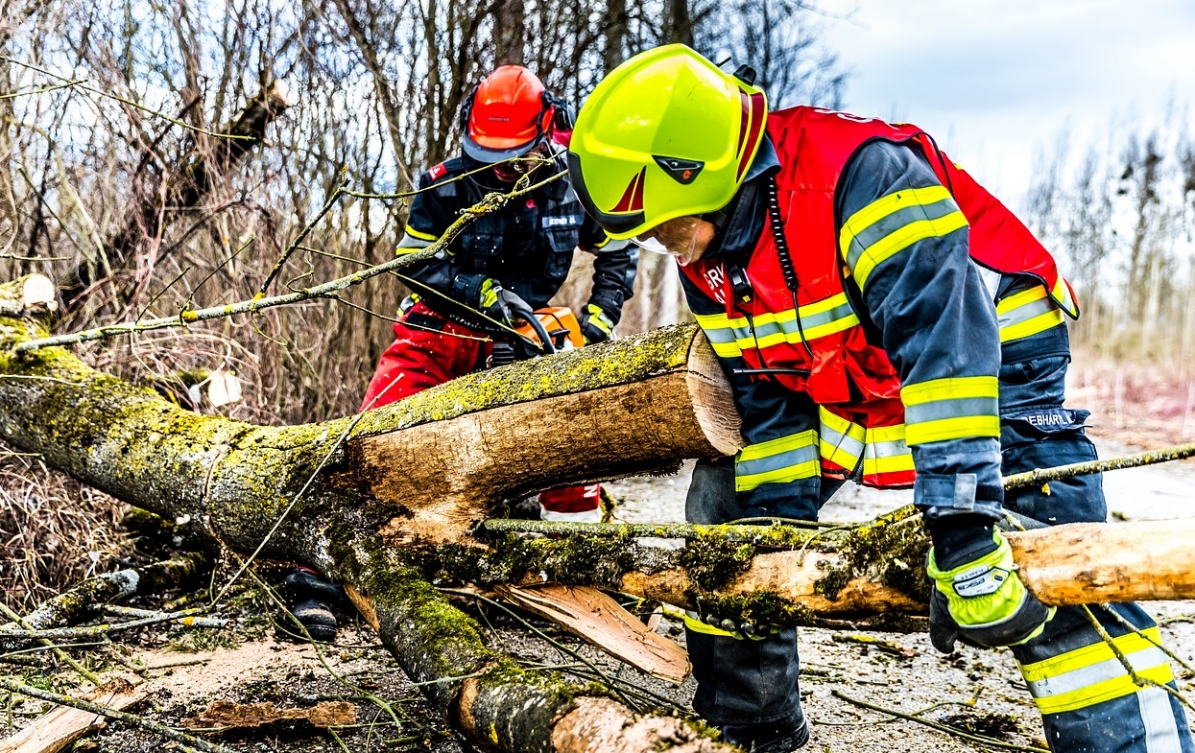Walka ze skutkami burzy: strażacy wciąż usuwają powalone drzewa na Sępolnie