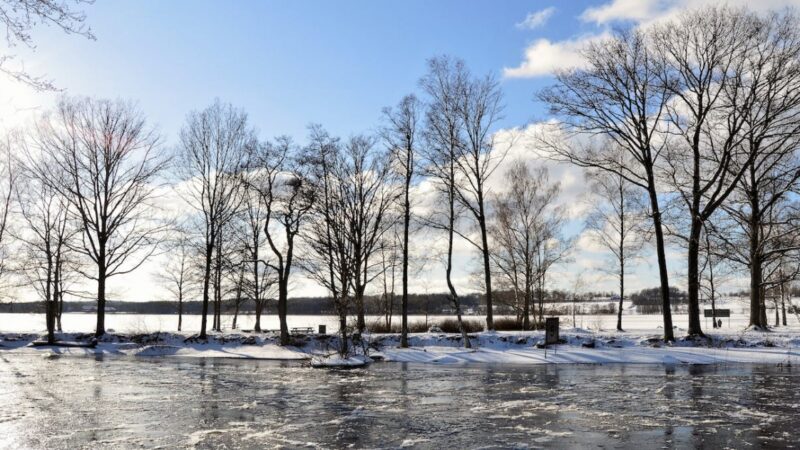Uwaga na wysoki poziom wody w Widawie: Ostrzeżenie 3 stopnia nadal obowiązuje