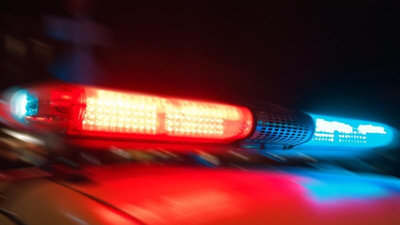 Zbrodnia sprzed 28 lat: Tajemnicze morderstwo pary z Wrocławia w Górach Stołowych wciąż bez rozwiązania