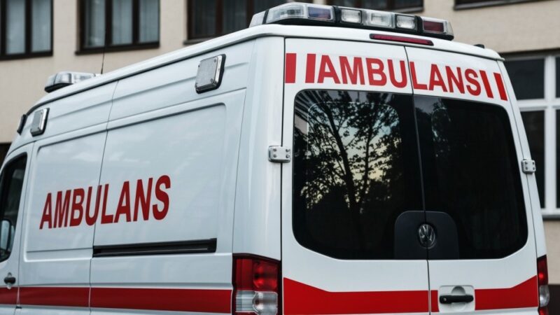 Policyjne psy z Wrocławia w Tatrach: Szkolenie z ratownikami TOPR dla lepszej ochrony górskich szlaków