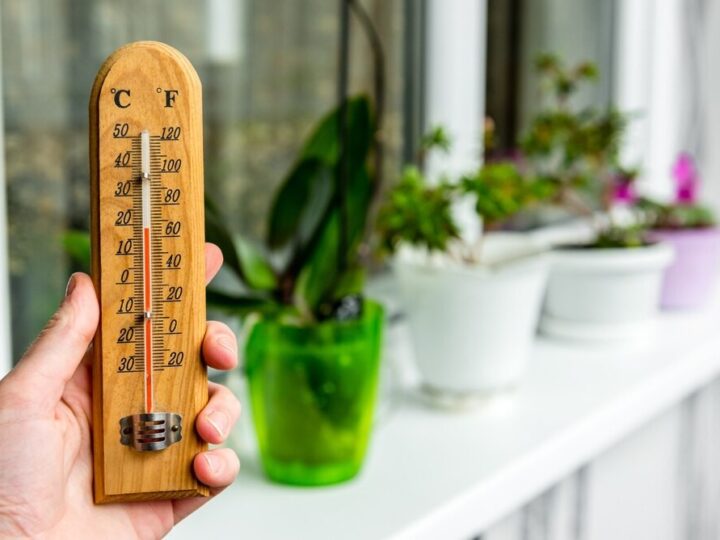 Wrocław: Słoneczny dzień z silnym wiatrem – co przyniesie jutro?