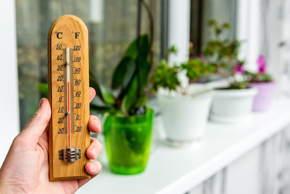 Wrocław: Słoneczny dzień z silnym wiatrem – co przyniesie jutro?