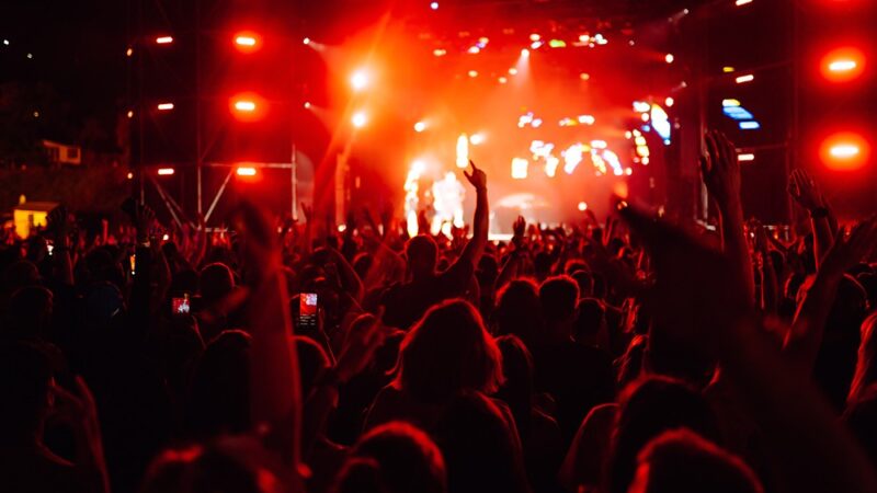 Dynia na tronie: Festiwal, który zachwyca pomarańczową królową jesieni!