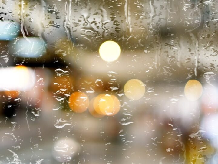 Wrocław w obliczu żywiołu: silny wiatr sieje chaos i wymusza interwencje straży pożarnej