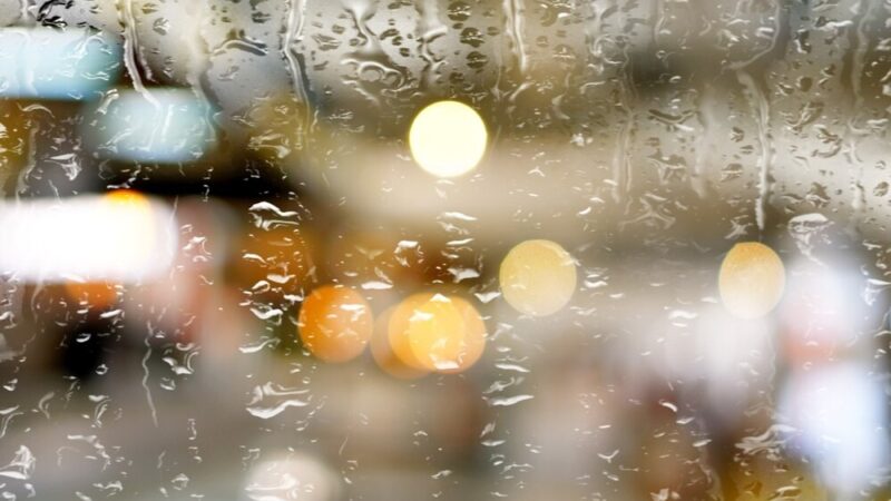 Wrocław w obliczu żywiołu: silny wiatr sieje chaos i wymusza interwencje straży pożarnej