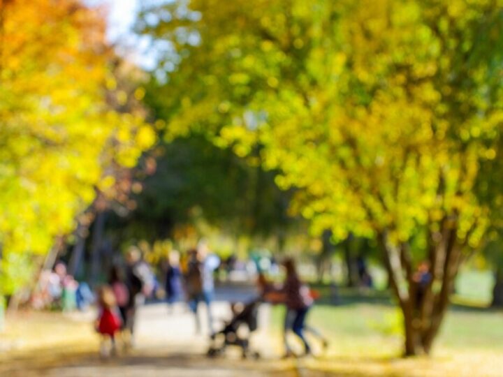 Wrocław: Seniorzy w centrum uwagi – 180 tys. aktywnych mieszkańców!