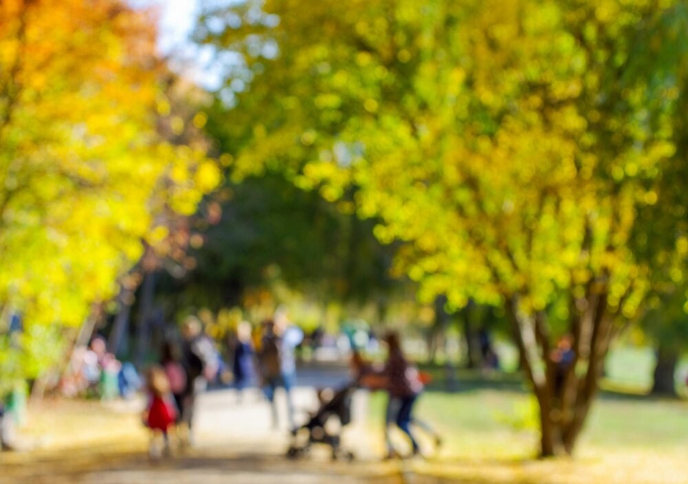 Wrocław: Seniorzy w centrum uwagi – 180 tys. aktywnych mieszkańców!