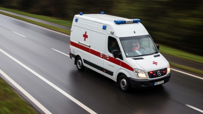 Policja i Straż Graniczna razem dla bezpieczeństwa na dolnośląskich drogach tej jesieni