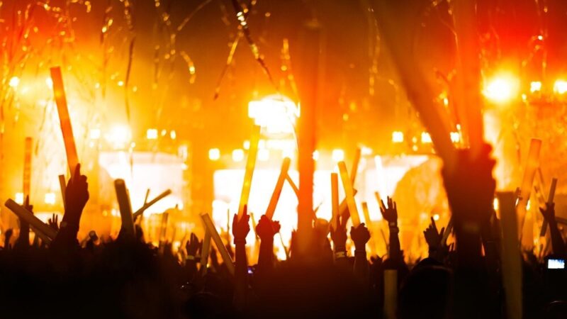 Muzyczne uniesienia wśród książek: koncert Haja na żywo!