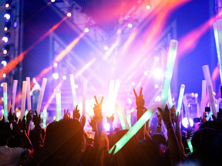 Muzyczne Święto Niepodległości w Żórawinie z Gwiazdami na Scenie