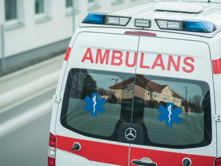 Koniec rutyny: koń na autostradzie A4 szokuje policję