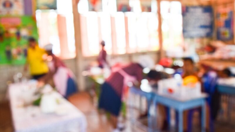 Edukacja ekologiczna w przedszkolach: Jak liście zmieniają Wrocław