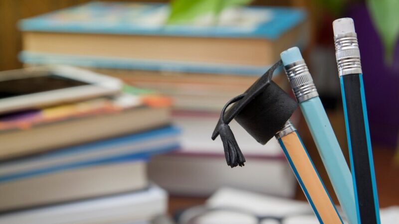 Magiczny świat literatury: spotkanie z Elizą Piotrowską dla najmłodszych!