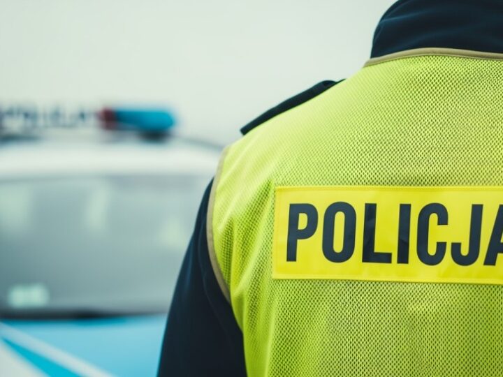 Pościg w Wrocławiu: Kierowca wpadł do rowu!