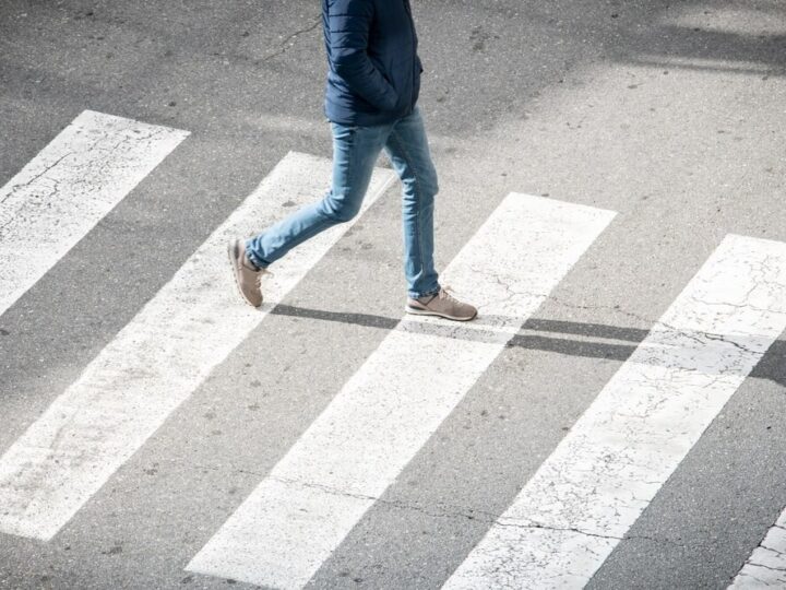 Agresywny pies atakuje w centrum Wrocławia – właściciel usłyszał zarzuty!