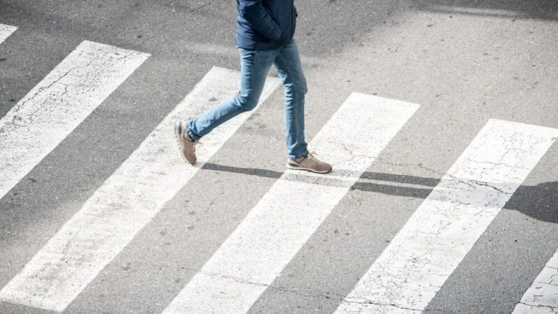 Agresywny pies atakuje w centrum Wrocławia – właściciel usłyszał zarzuty!