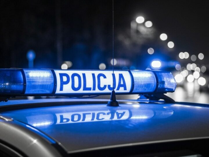 Złodziej kolekcjonerskich kart w rękach policji!