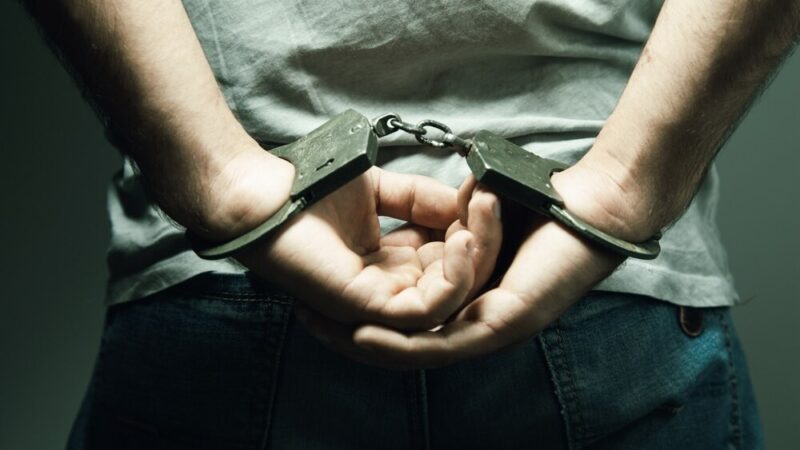 Policja z Dzierżoniowa rozbija sieć narkotykową i likwiduje plantację konopi