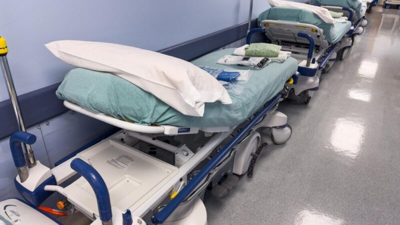 Wrocławscy medycy nagrodzeni za przełomowe osiągnięcia w medycynie