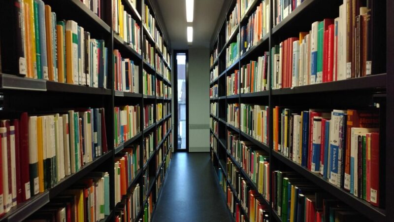 Książkomat w Parku Literackim – Twoja literatura w zasięgu ręki!