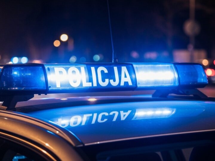 Seryjny włamywacz w rękach policji: 30-latek z recydywą usłyszał siedem zarzutów