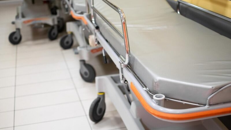 Wrocławskie placówki edukacyjne na czołowej pozycji w promowaniu zdrowego stylu życia dzieci