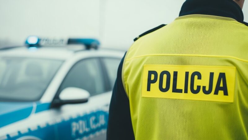 Kobieta z 2,5 promila wpadła do rowu, surowy wyrok w trybie przyspieszonym