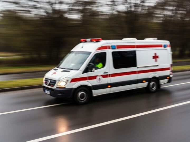 Dzieci w niebezpieczeństwie: ratunek na zamarzniętym stawie w parku