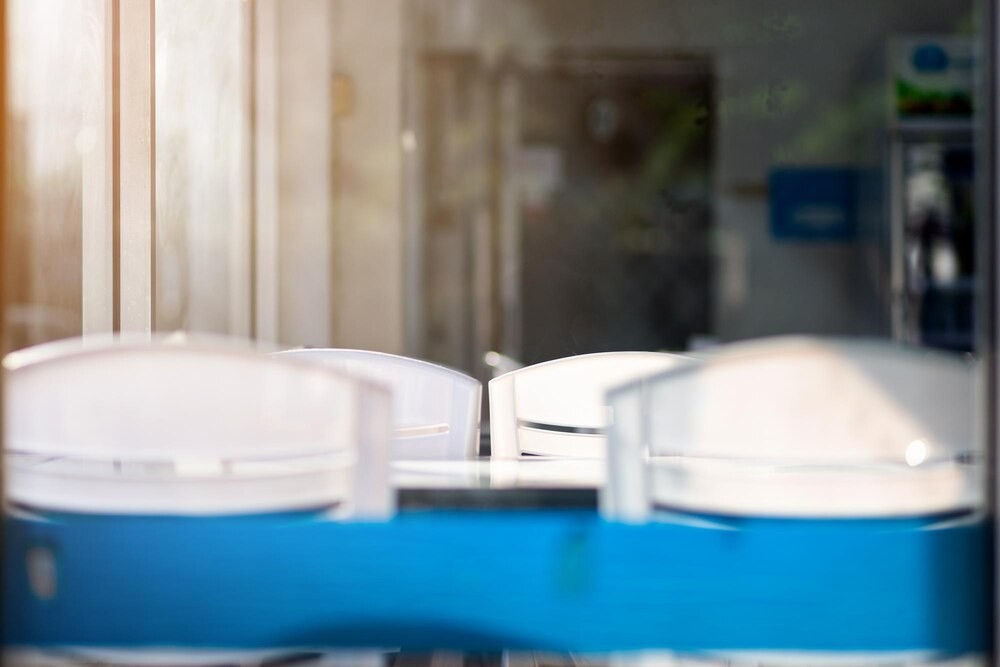 Nowa przestrzeń wsparcia dla osób z niepełnosprawnościami w Siechnicach!