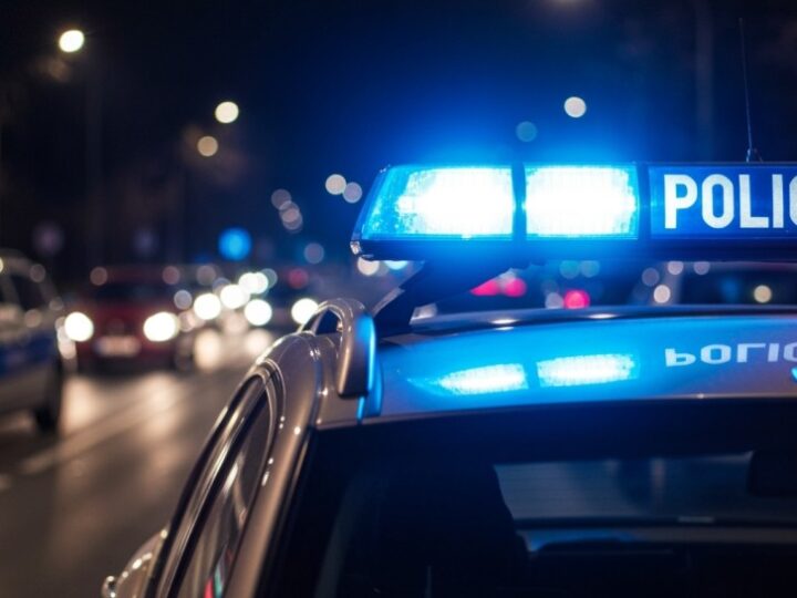 Policja w akcji: Czterech złodziei ujętych podczas demontażu skradzionego auta