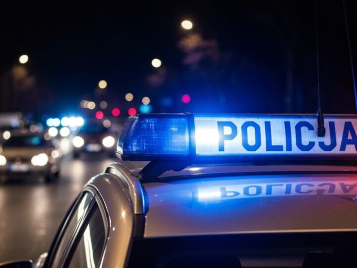 Zatrzymanie złodzieja aut: Policja odzyskała skradzione pojazdy i cenne mienie