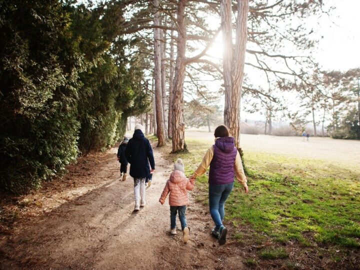 Wrocław wstrzymuje oddech: Poszukiwania zaginionej 16-latki trwają!