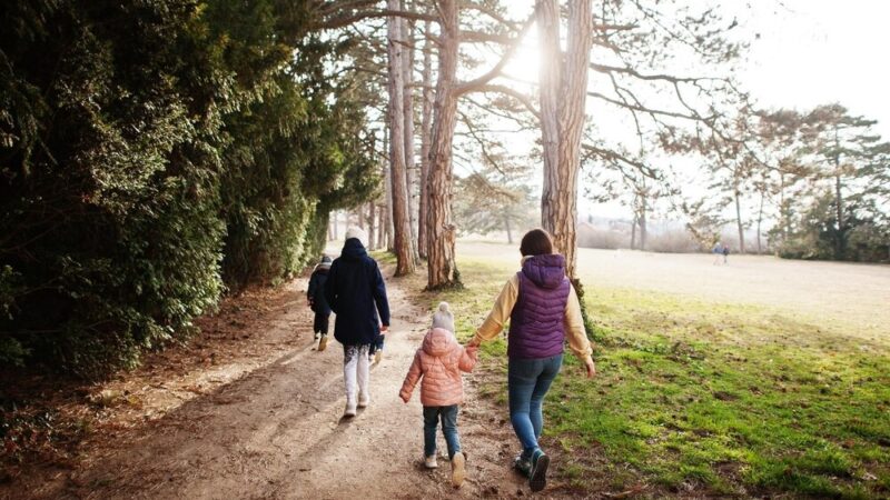 Wrocław wstrzymuje oddech: Poszukiwania zaginionej 16-latki trwają!