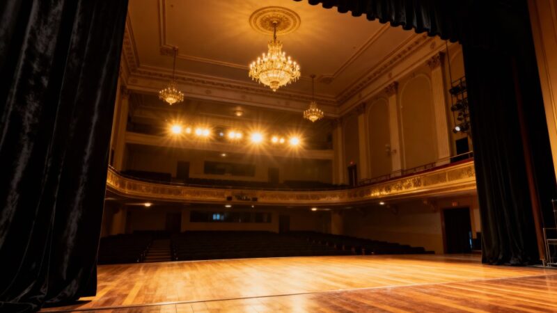 Kaczątko na Scenie: Magiczna Premiera w Teatrze Lalek