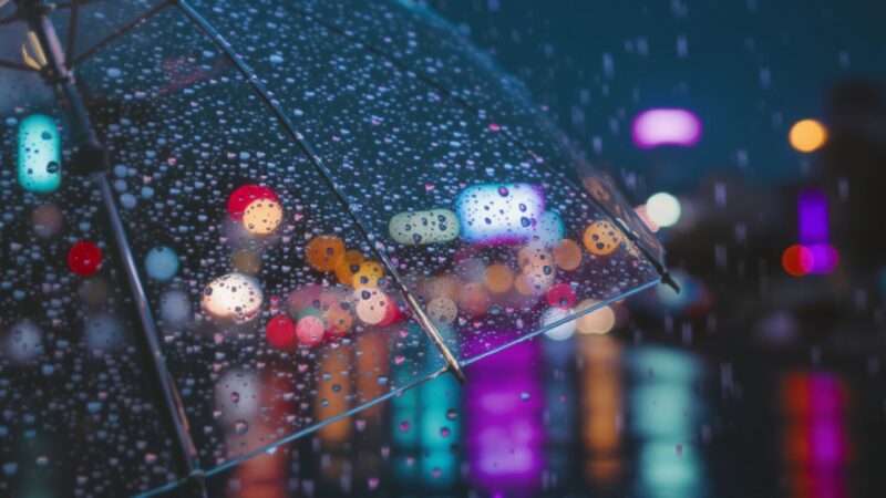 Przymrozki we Wrocławiu: Przygotuj się na -5 st. C!