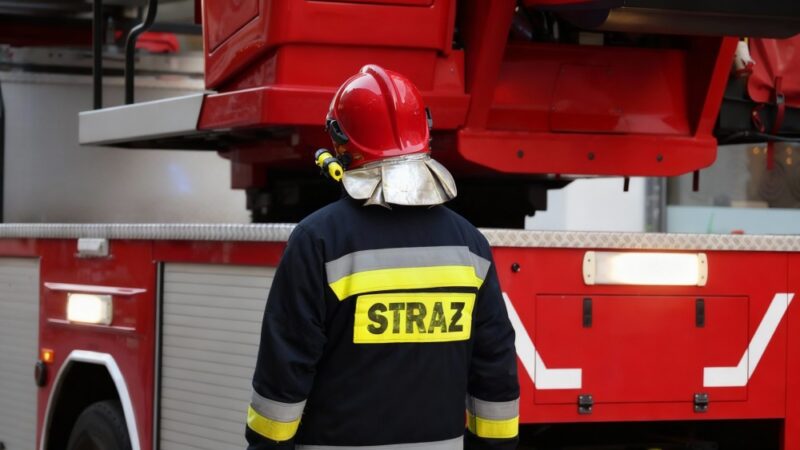 Nowe kierownictwo OSP Gminy Czernica: Przyszłość w rękach nowych liderów