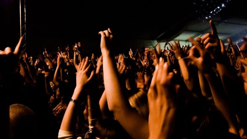 Pink Freud: Muzyczna Ekspedycja w Obornikach Śląskich!