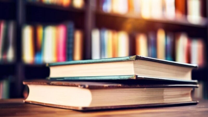 Magdalena Majcher w Domanicach: Spotkanie, które zainspirowało lokalnych czytelników