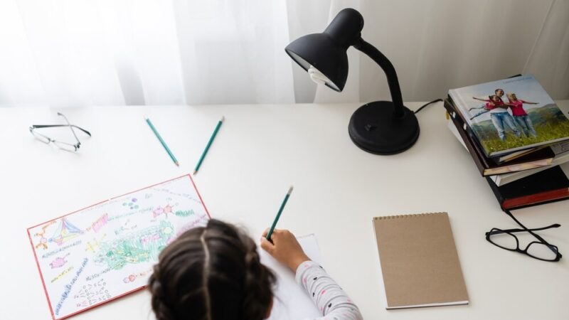 Studenci bezpieczeństwa wewnętrznego w akcji z psami służbowymi