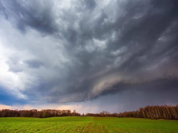Śnieg przed weekendem we Wrocławiu? Przygotuj się na zimową niespodziankę!