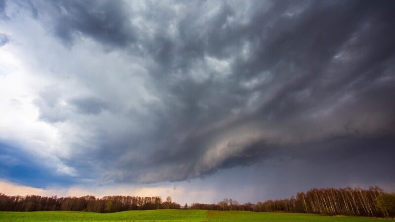 Śnieg przed weekendem we Wrocławiu? Przygotuj się na zimową niespodziankę!