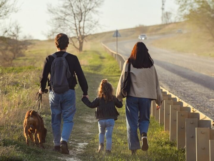 Wrocławskie schronisko zaprasza do wolontariatu: pomóż psom na spacerach!