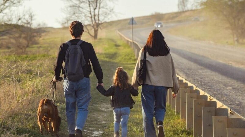 Wrocławskie schronisko zaprasza do wolontariatu: pomóż psom na spacerach!