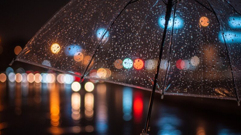 Wrocław w pułapce wiosennej aury: Zimowy powrót i porywiste wiatry!