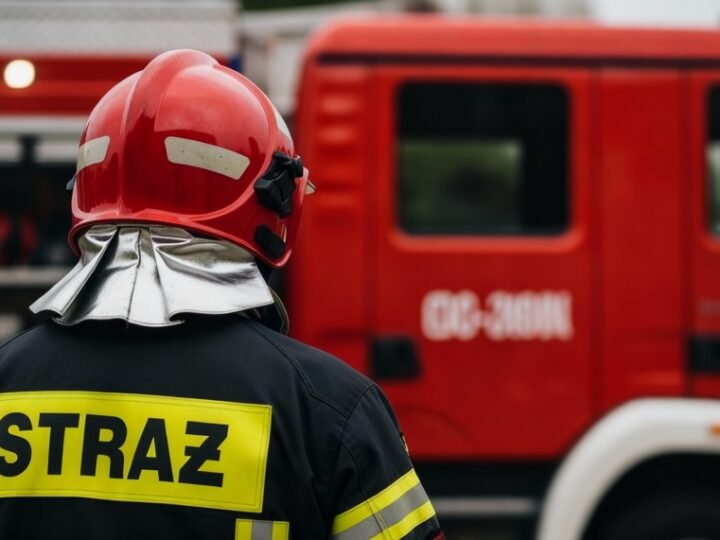 Strażacy z Wrocławia doskonalą ewakuację egzotycznych zwierząt w specjalistycznym szkoleniu