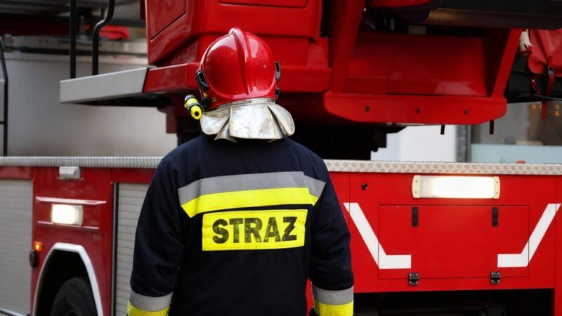 Nowy zarząd OSP Gminy Siechnice wybrany podczas zjazdu druhów