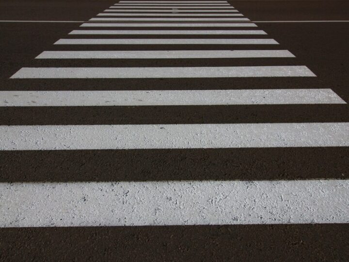 Zagubiony pies na drodze: Jak policja uratowała dzień!