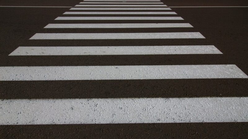 Zagubiony pies na drodze: Jak policja uratowała dzień!