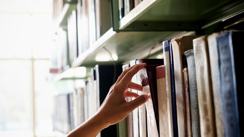 Literacki tramwaj – Wrocław odkrywa magię czytania w podróży